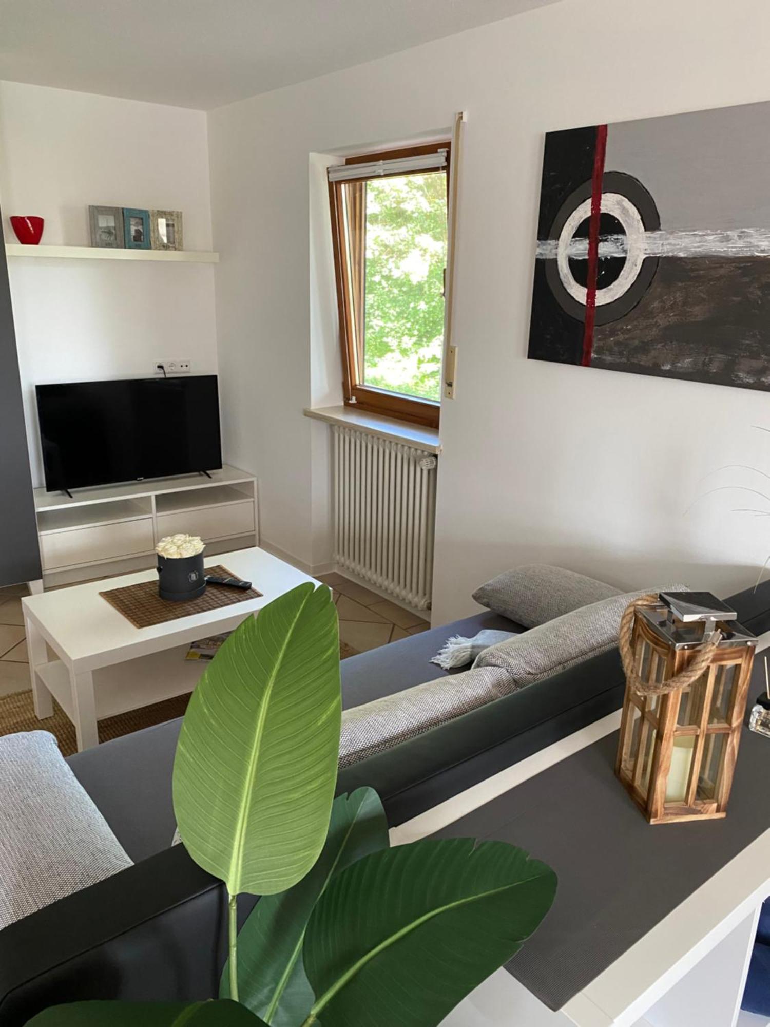 Apartment Baerenfelsblick Wehr  Exterior photo